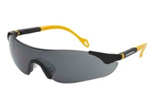 Schutzbrille